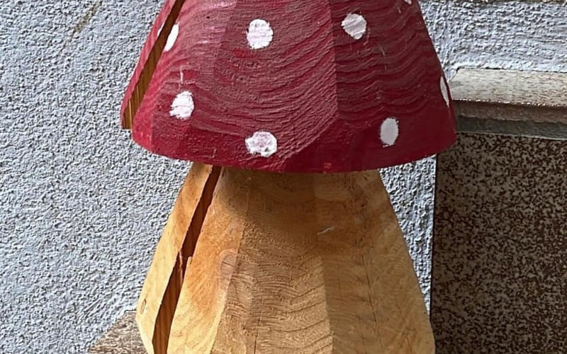 image5.jpeg